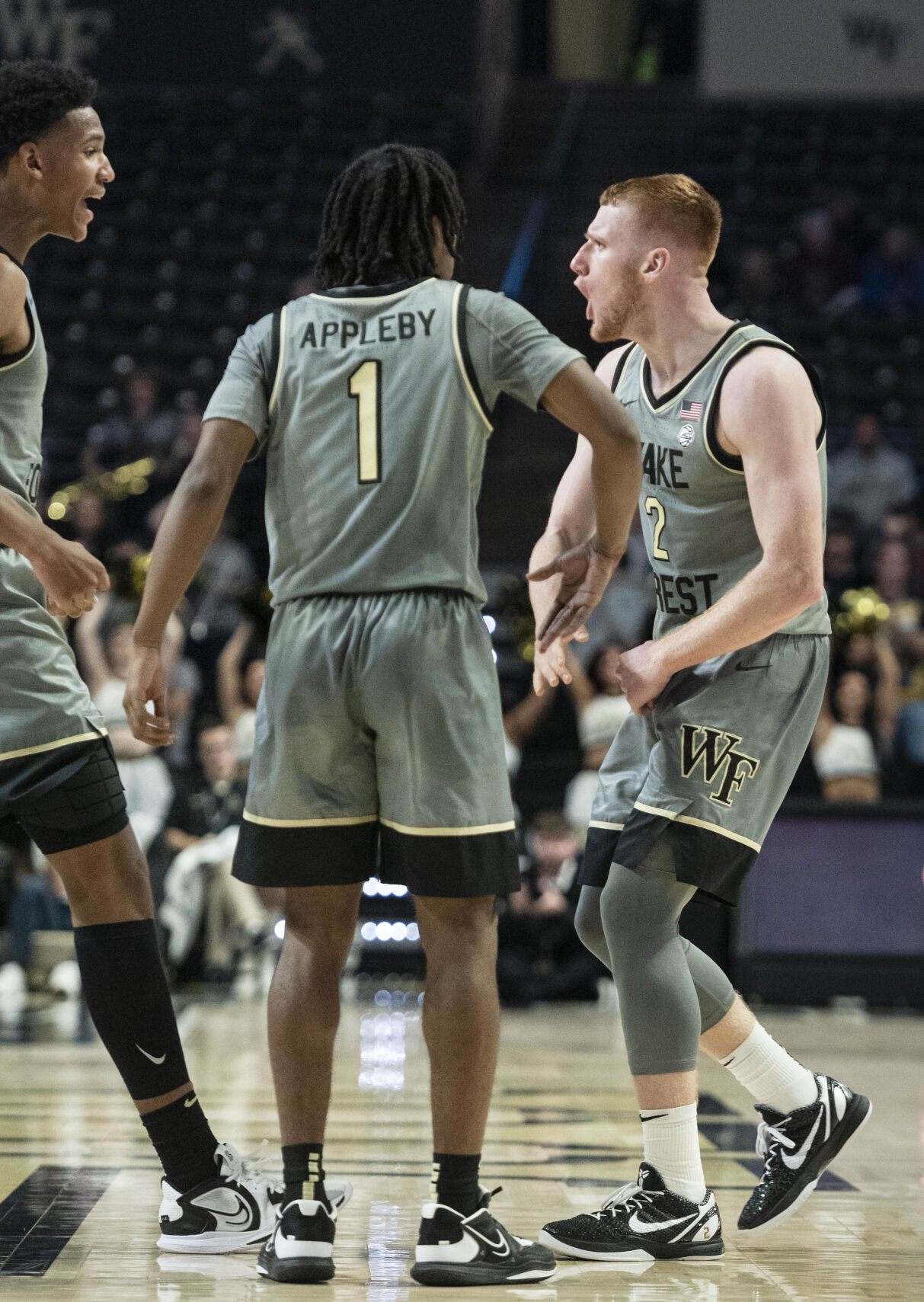 Wake Forest Utah Valley Mens Basketball